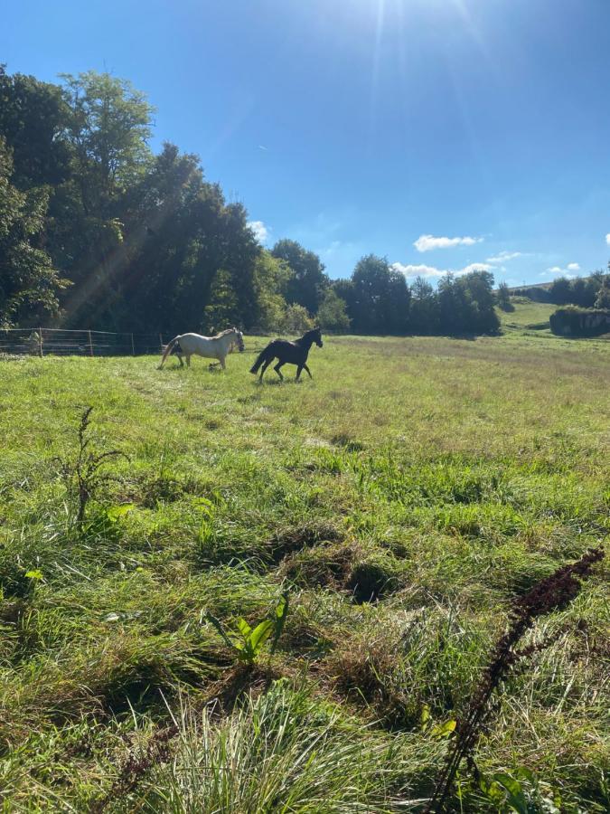 Chez Sophie -Chambres D'Hotes, Gite Et Gite Equestre Clermont-Dessous Екстериор снимка